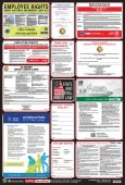 OSHA Safety Poster: Combo State, Federal & OSHA Labor Law Posters