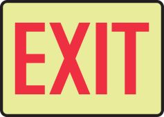 Lumi-Glow™ Safety Sign: Exit