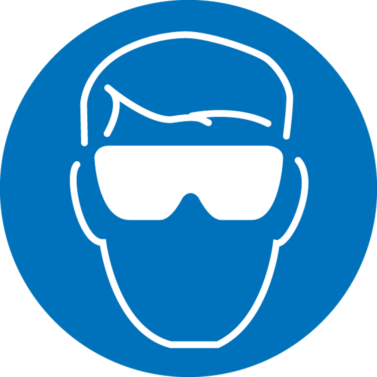 Protective Eyewear Graphic ISO Safety Label LSGM202