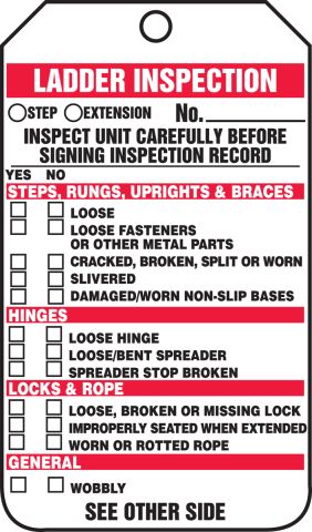 Safehouse Signs LT-423 Ladder Inspection Tags, 6X3, Laminated Tag